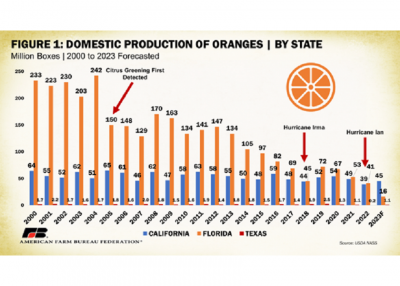 graph of decline in citrus production in the U.S.