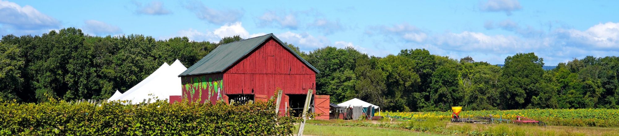 A farm in Simsbury, CT with a red barn