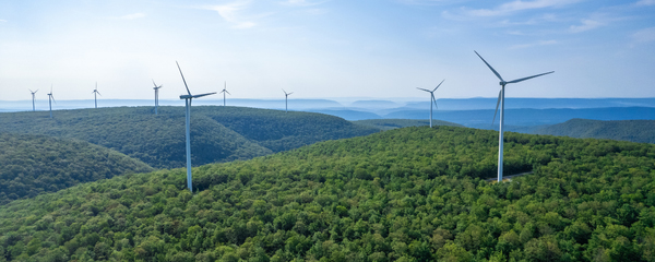 windmills in forested hills